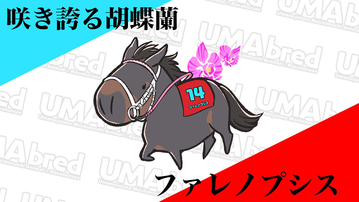 咲き誇る胡蝶蘭 ファレノプシス