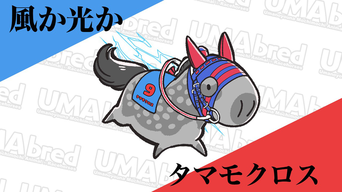 風邪か光か タマモクロス