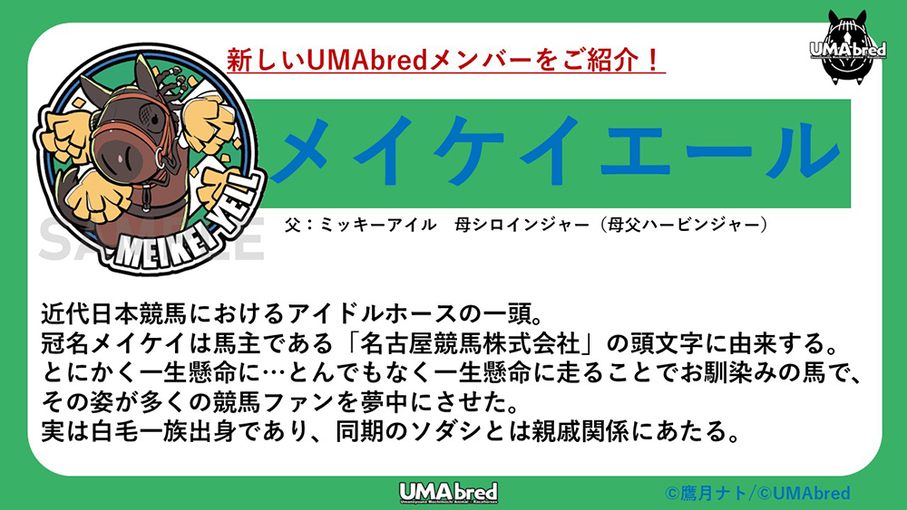 メイケイエール