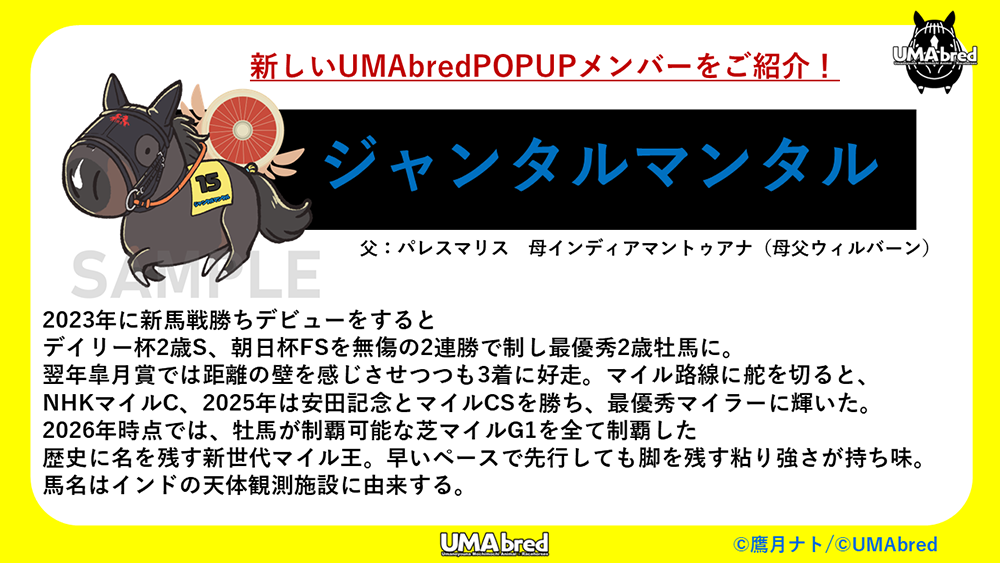 ジャンタルマンタル